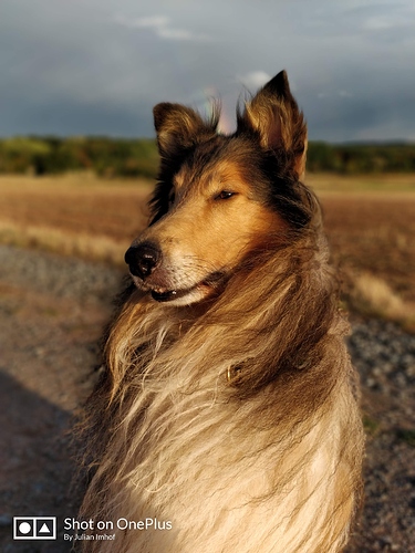 IMG_20180907_185318_Bokeh