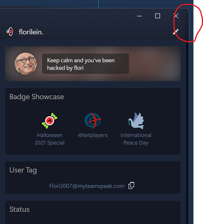 User Profile Scrollbar wrong Position TeamSpeak Client TeamSpeak
