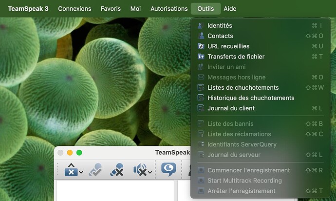 Skärmavbild 2023-03-21 kl. 20.50.24
