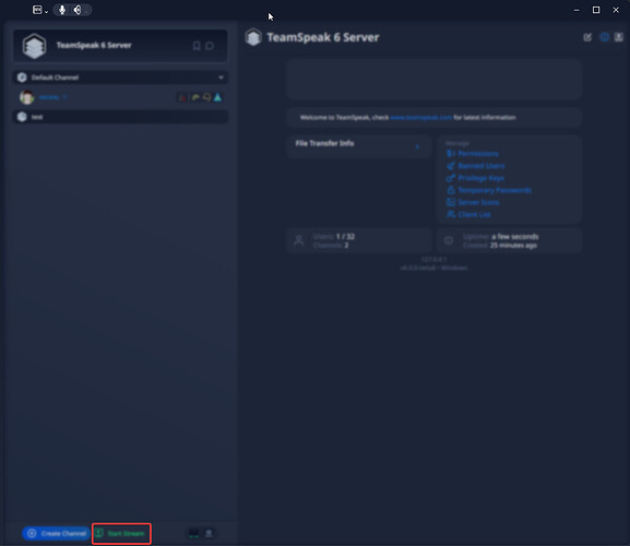 TeamSpeak_0NnCwIsFfT