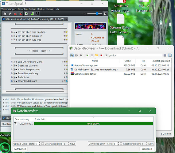 Ts3 - 3Screenshot 2025-11-06 011726