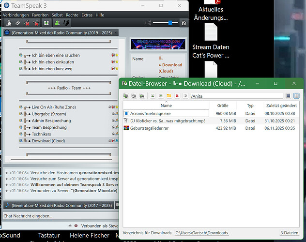 Ts3 - 2 Screenshot 2025-11-06 011634